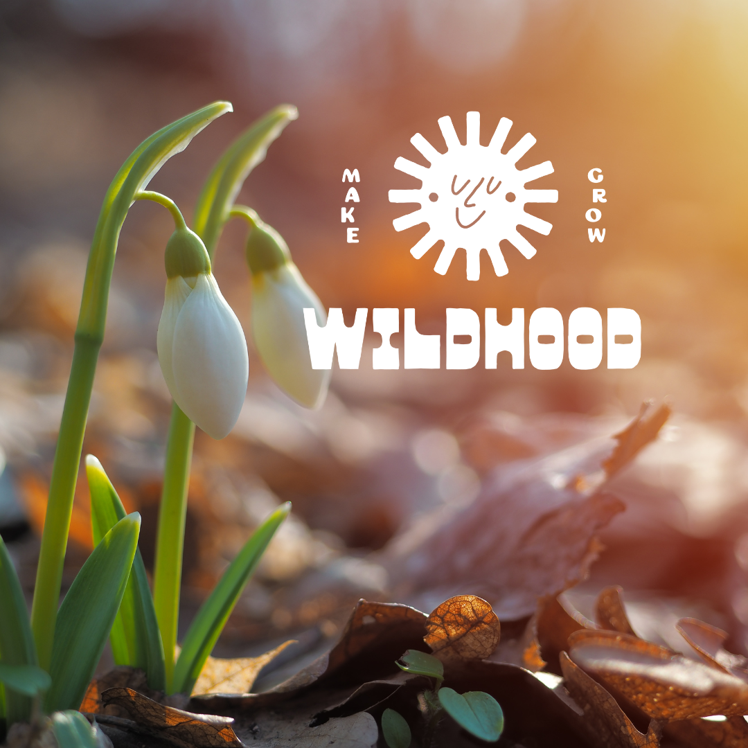 February sibling box