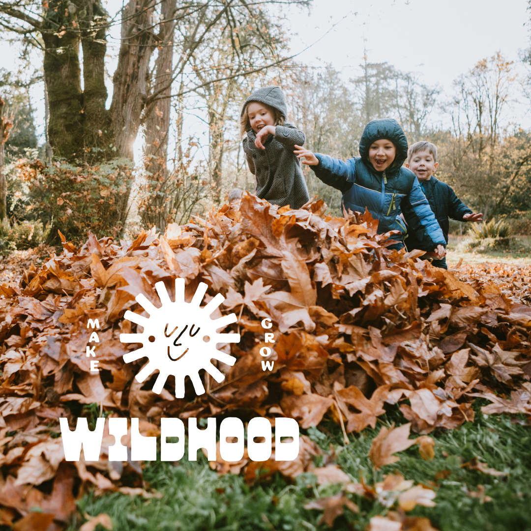 November sibling box