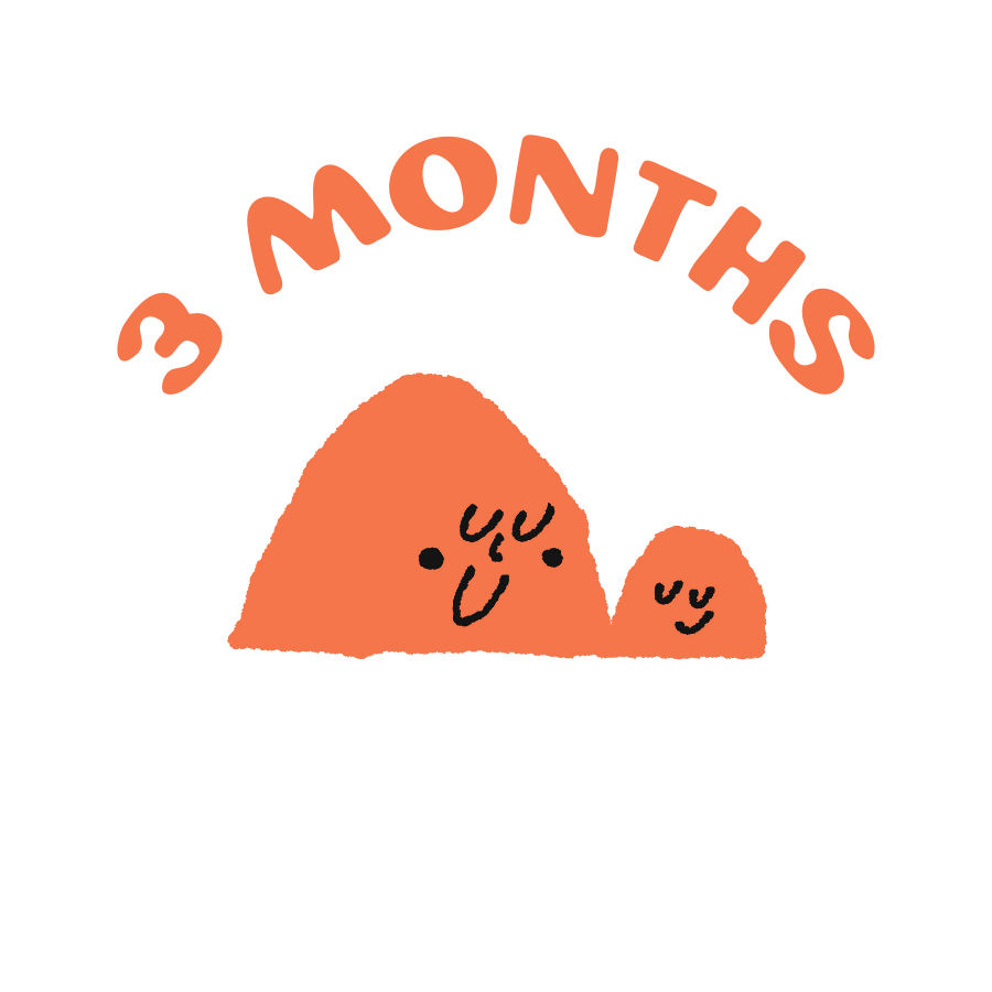 3 month subscription for siblings