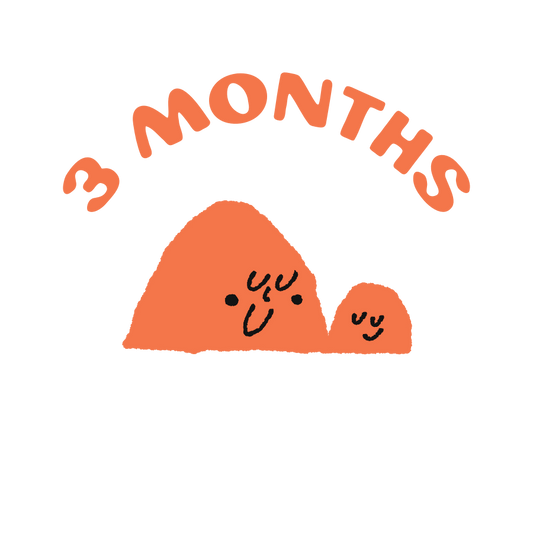 3 month subscription for siblings