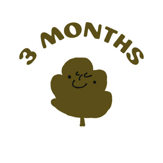 3 month subscription