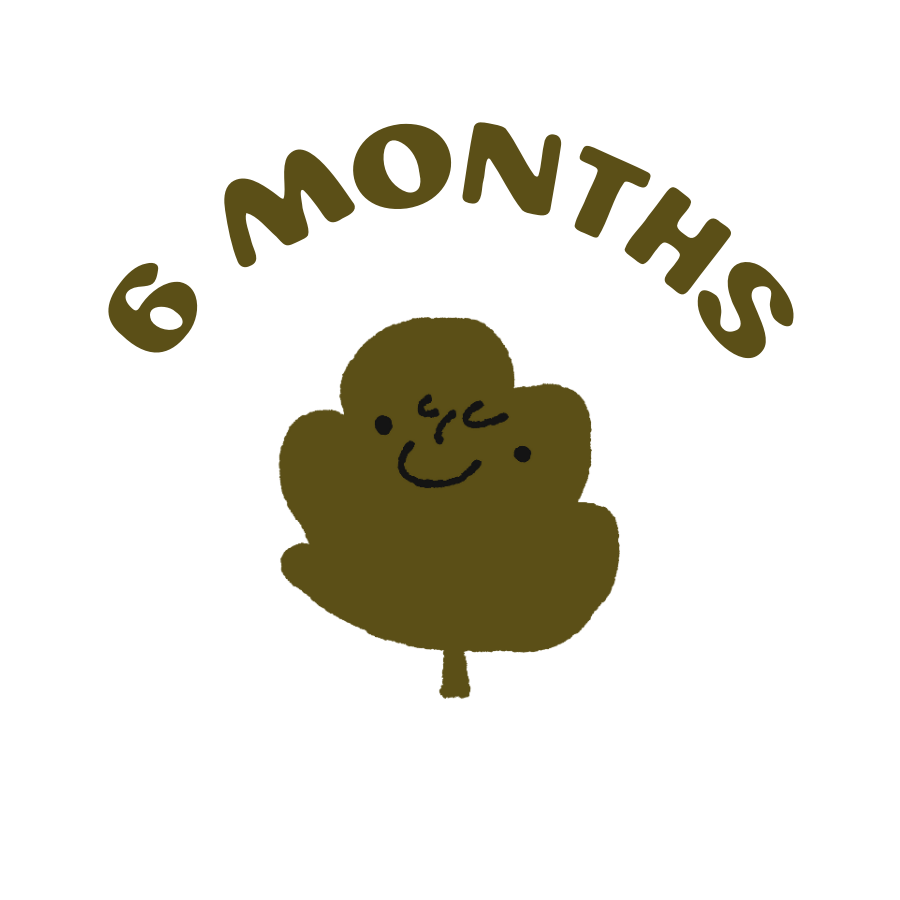 6 month subscription