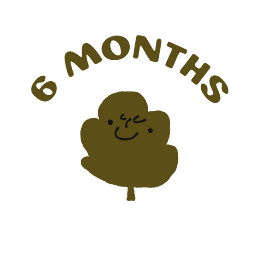6 month subscription