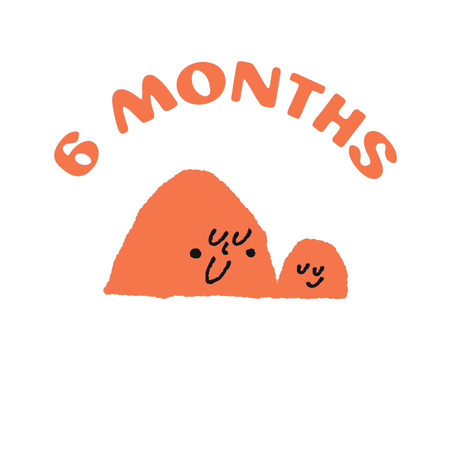 6 month subscription for siblings