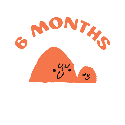 6 month subscription for siblings