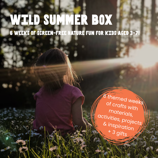 Wild Summer Bumper Box - sibling